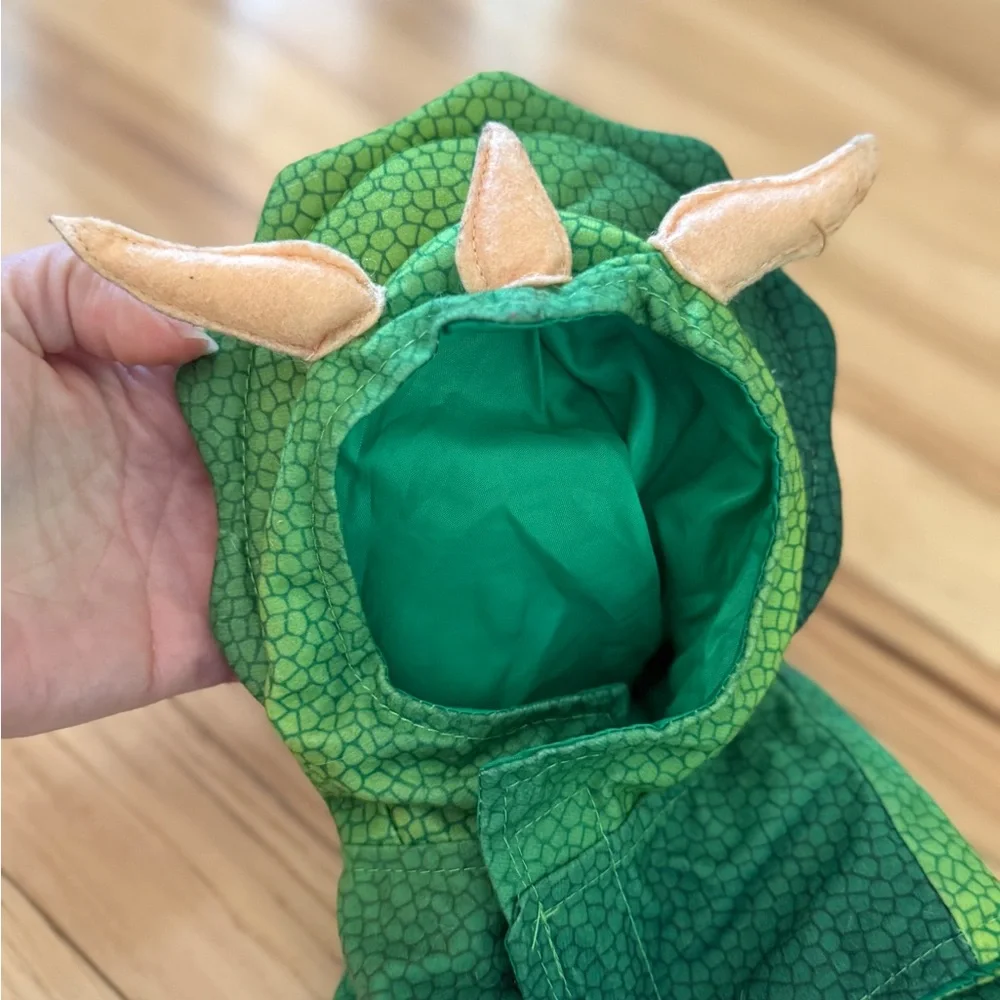 Green Dinosaur 🦖 Costume and Pirate Hat 🏴‍☠️ for Pets 🐱 🐶